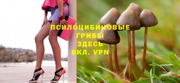 spice Алексеевка