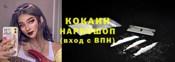 шишки Абинск
