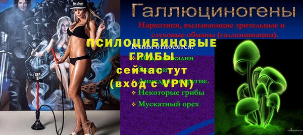 spice Алексеевка