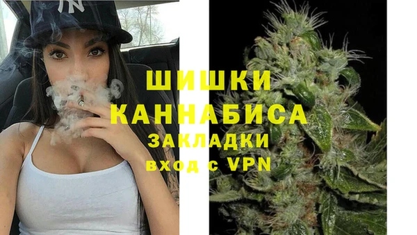 шишки Абинск