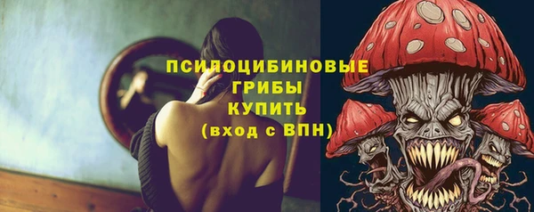 гидра Алзамай