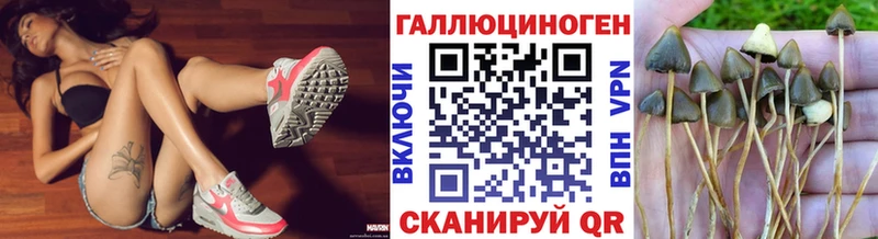 OMG ссылка  маркетплейс Telegram  Псилоцибиновые грибы GOLDEN TEACHER  Ковдор 